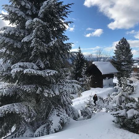 Haus Grimmingblick Villa Zlem Exteriör bild