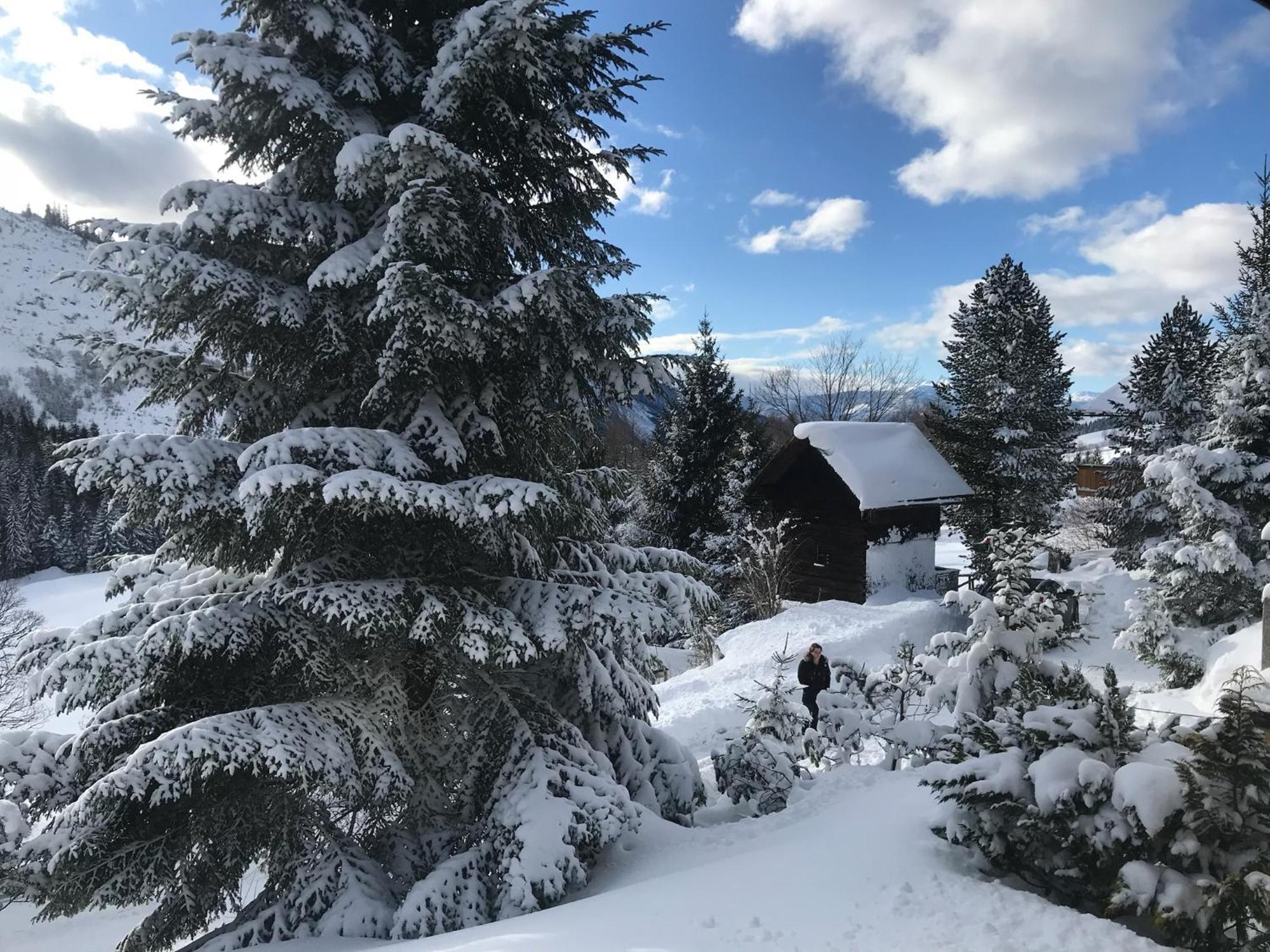 Haus Grimmingblick Villa Zlem Exteriör bild