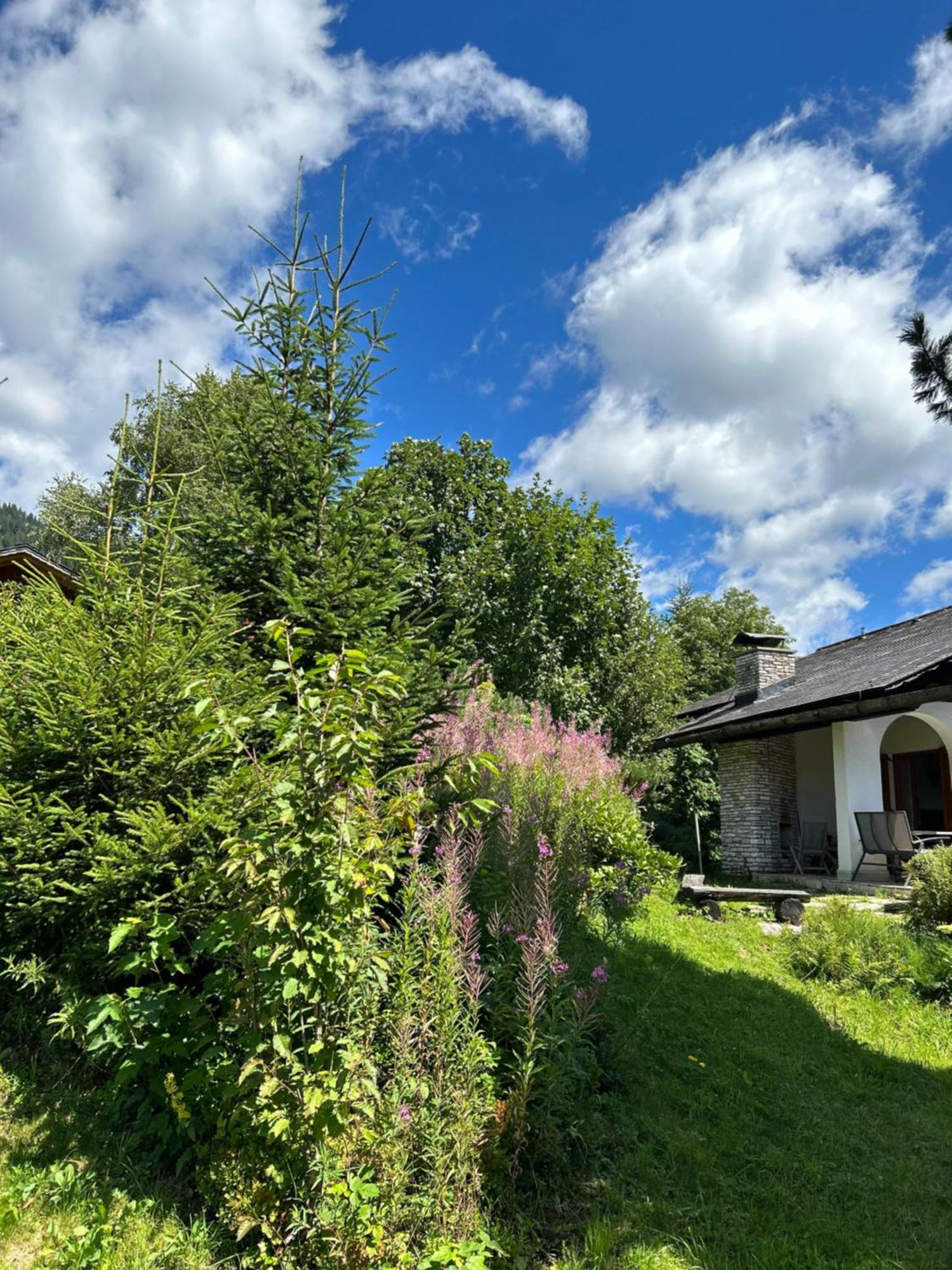 Haus Grimmingblick Villa Zlem Exteriör bild